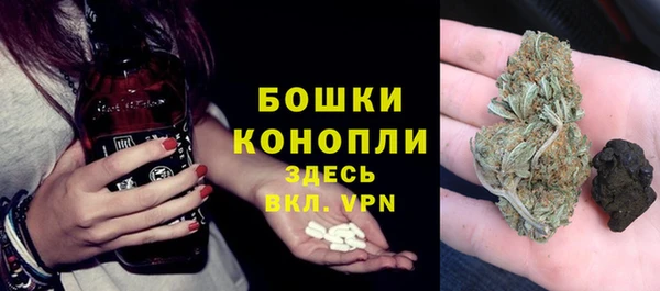 хмурый Лиски