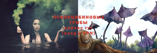 MDMA Кондопога