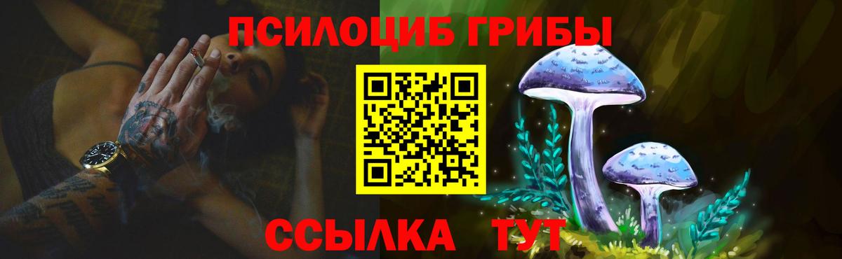 Псилоцибиновые грибы мухоморы  Вход с VPN  Новоуральск  наркошоп  Галлюциногенные грибы мухоморы 
