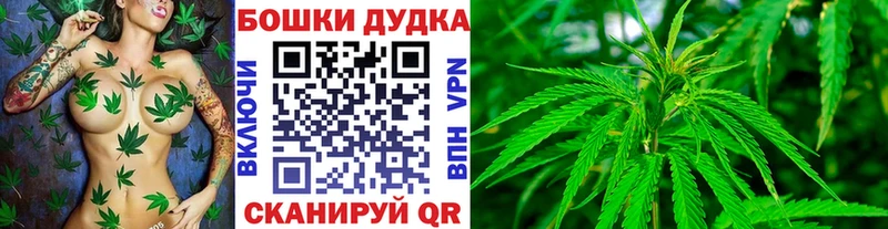 где купить наркотик  Новоуральск  Каннабис индика 