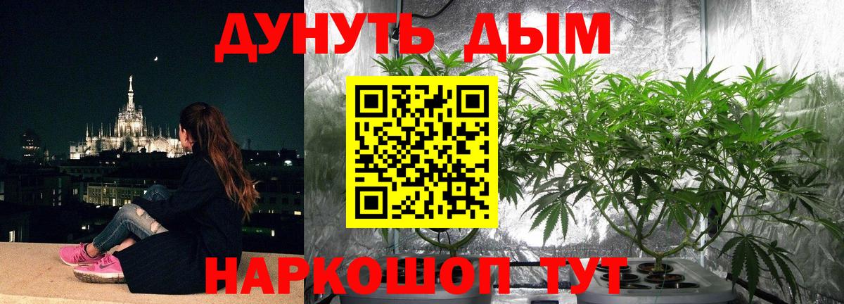 Новоуральск  Каннабис OG Kush  Каннабис White Widow  Бошки Шишки VHQ  Вход с VPN 